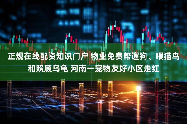 正规在线配资知识门户 物业免费帮遛狗、喂猫鸟和照顾乌龟 河南一宠物友好小区走红