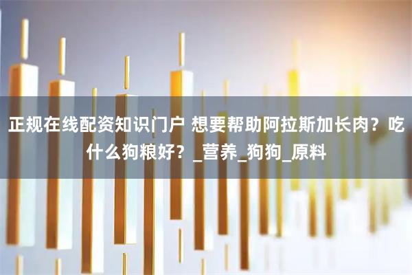 正规在线配资知识门户 想要帮助阿拉斯加长肉？吃什么狗粮好？_营养_狗狗_原料