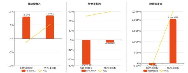 配资世家网 金财互联(002530.SZ)：2024年年报净利润为-916.09万元