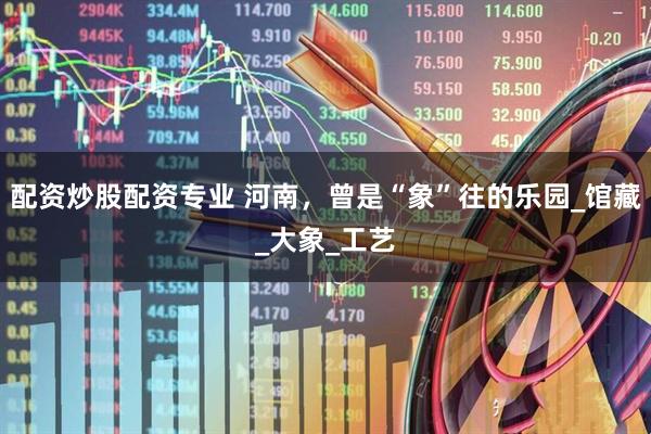 配资炒股配资专业 河南，曾是“象”往的乐园_馆藏_大象_工艺
