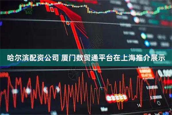 哈尔滨配资公司 厦门数贸通平台在上海推介展示