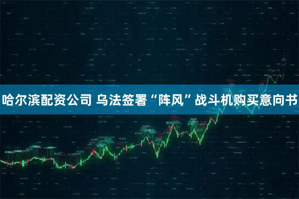 哈尔滨配资公司 乌法签署“阵风”战斗机购买意向书