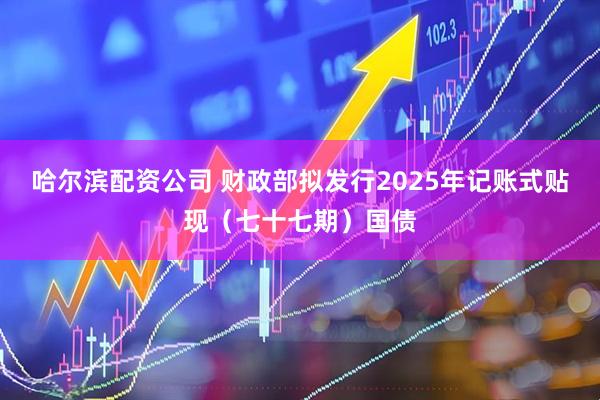 哈尔滨配资公司 财政部拟发行2025年记账式贴现（七十七期）国债